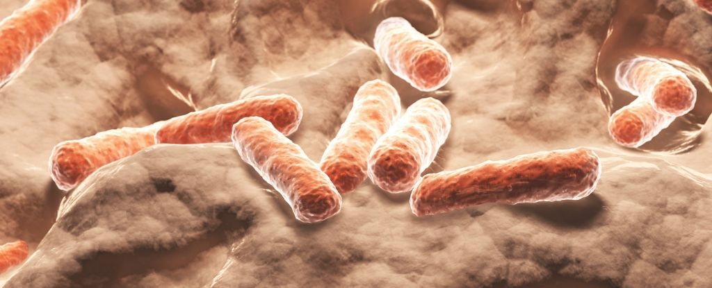 Scientists May Have Identified a Natural Alternative to Ozempic