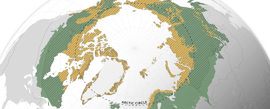 A Vast Swathe of The Arctic Has Turned Into a Carbon Emitter