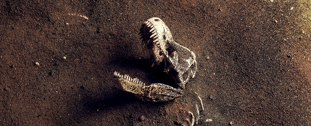 Mystery of T. Rex's Debated North American Origins Finally Solved