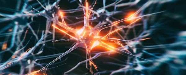 The Sad Case of The World's Youngest-Ever Alzheimer's Diagnosis