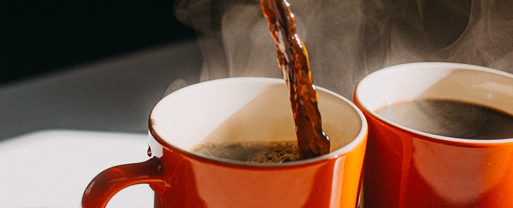 Caffeine Flips a Cellular Switch That May Slow Aging, Scientists Discover