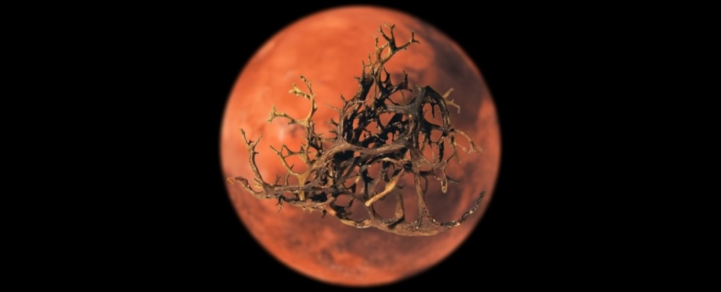 Lichens Thrive in Harsh Mars-Like Conditions, Groundbreaking Study Finds