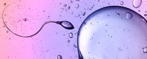 Scientists Caught Sperm Defying One of Newton's Laws of Physics