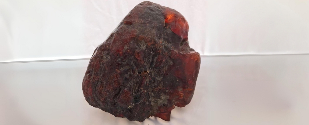 Rock Used as a Doorstop For Decades Found to Be Worth Over $1 Million