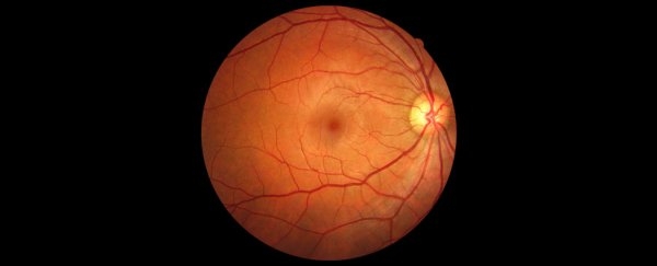 A Sign Deep Inside Your Eyes Could Warn of Early Dementia