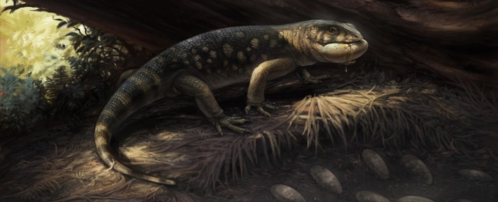 Scientists Discover 'Goblin Prince' That Roamed With Dinosaurs