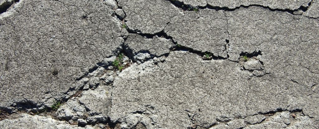 Scientists Developed a Kind of 'Living Concrete' That Heals Its Own Cracks