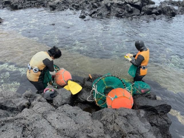 Legendary Female Free-Divers Reveal Evolution in Action on South Korean Island