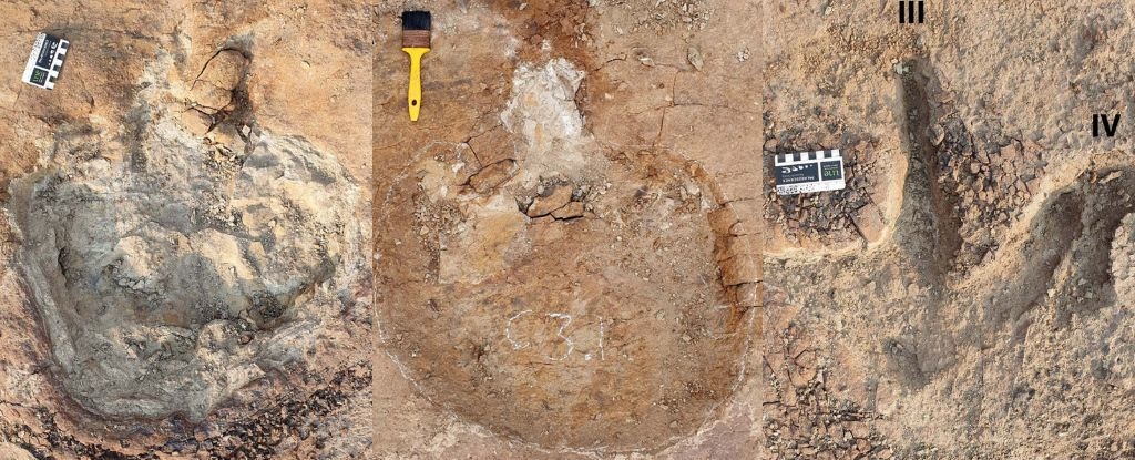 Stunning Dinosaur Tracks Appear to Show Something Never Seen Before