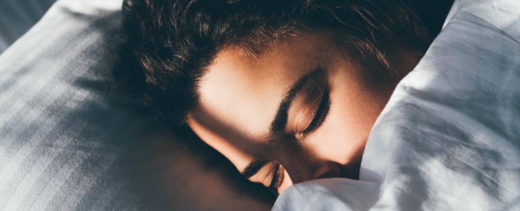 We Might Finally Know How The Brain Refreshes Itself at Night