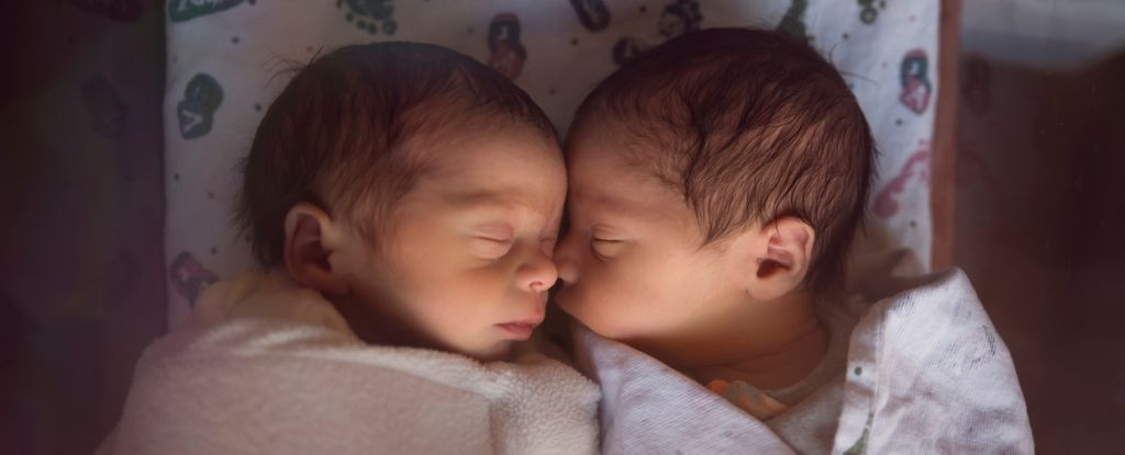 Study Reveals How Many IVF Babies Have Been Born Worldwide