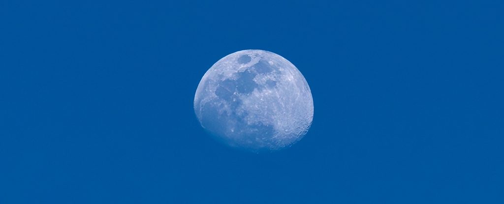 The Pandemic Did Not Affect The Moon After All, Scientists Say