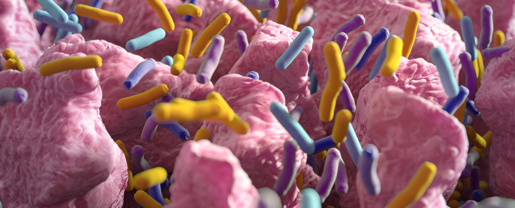 Something Inside Your Gut Could Be Like a Natural Ozempic