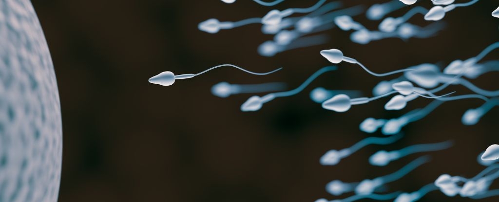 Hormone-Free Male Birth Control Pill Enters Clinical Trials For The First Time