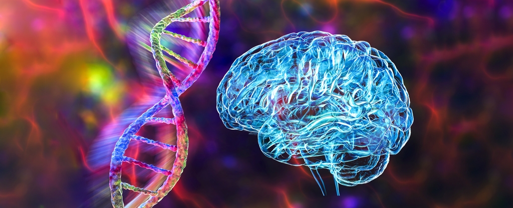 Several Psychiatric Disorders Share The Same Root Cause, Study Finds