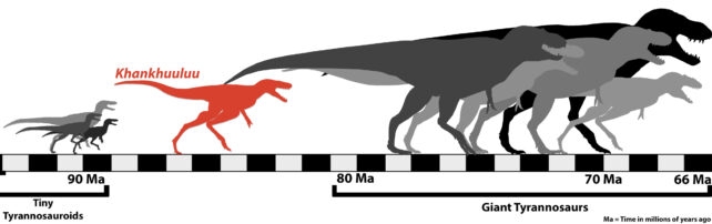 New Tyrannosaur Species Could Be a Missing Link to The Giants