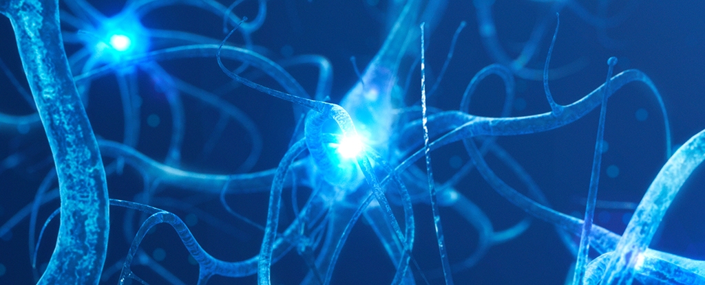 These 4 Distinct Patterns May Signal Alzheimer's According to Science