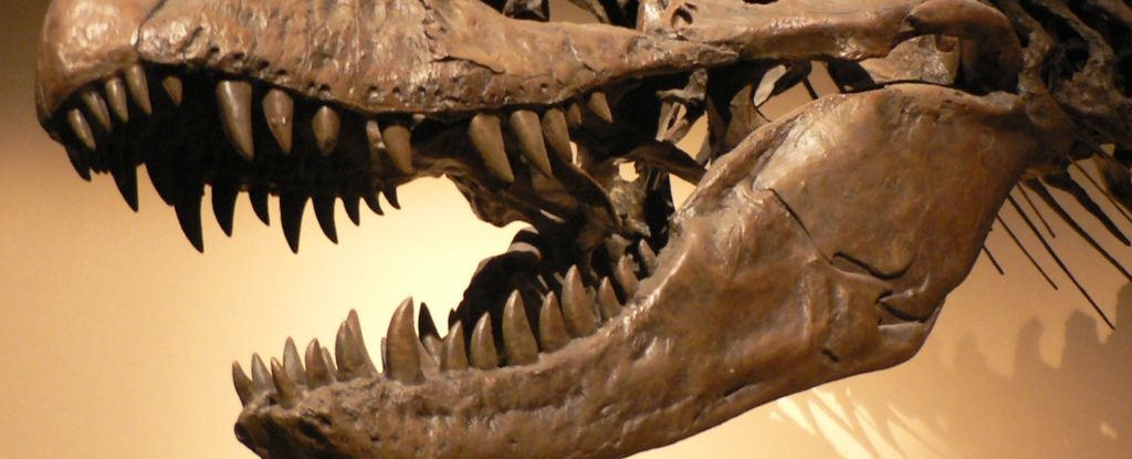 Giant Dinosaurs Would Have Chomped You Up in Very Different Ways