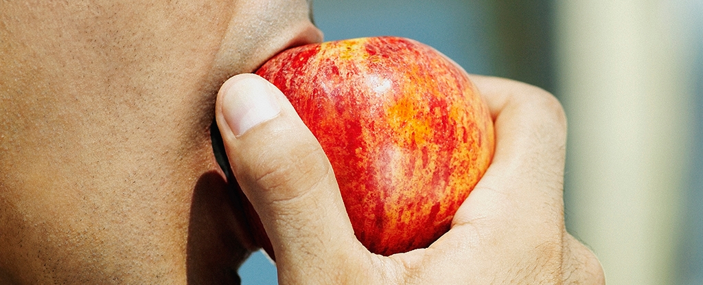 Ozempic Reshapes The Kinds of Food People Eat. Here's What Happens.
