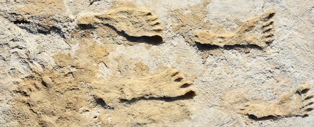 Confirmed: New Mexico Footprints Rewrite Timeline of Humans in America