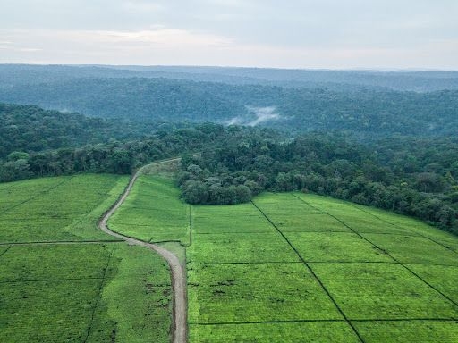 Analysis: How to rethink climate finance for Africa
