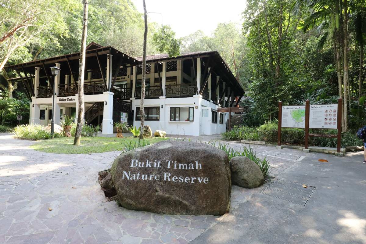 Bukit Timah Nature Reserve – The insider's guide to Singapore's best green escape