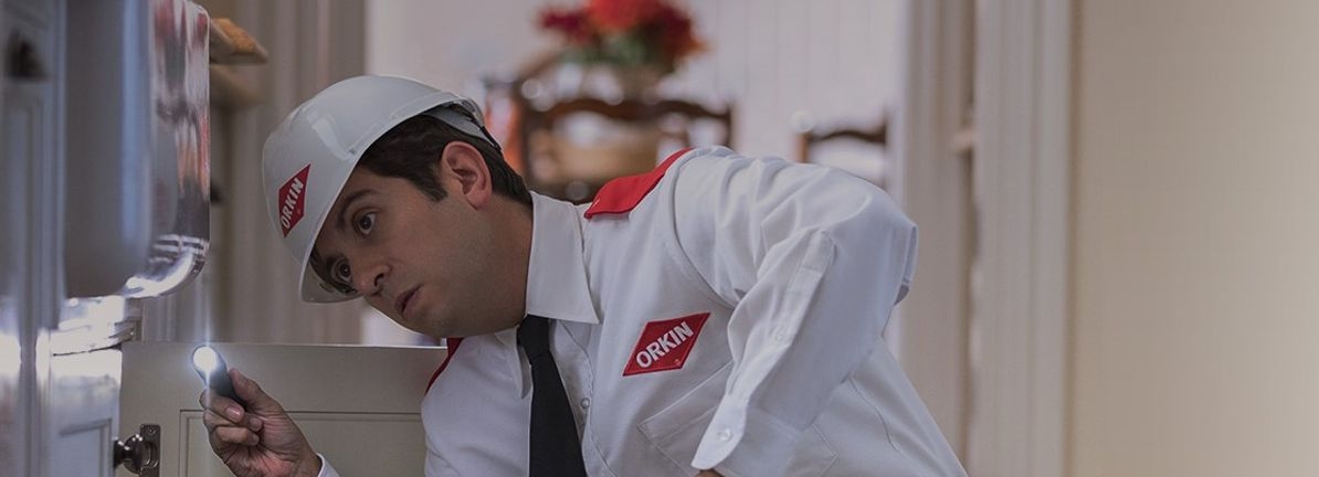 Here's Why We Think Rollins (NYSE:ROL) Is Well Worth Watching