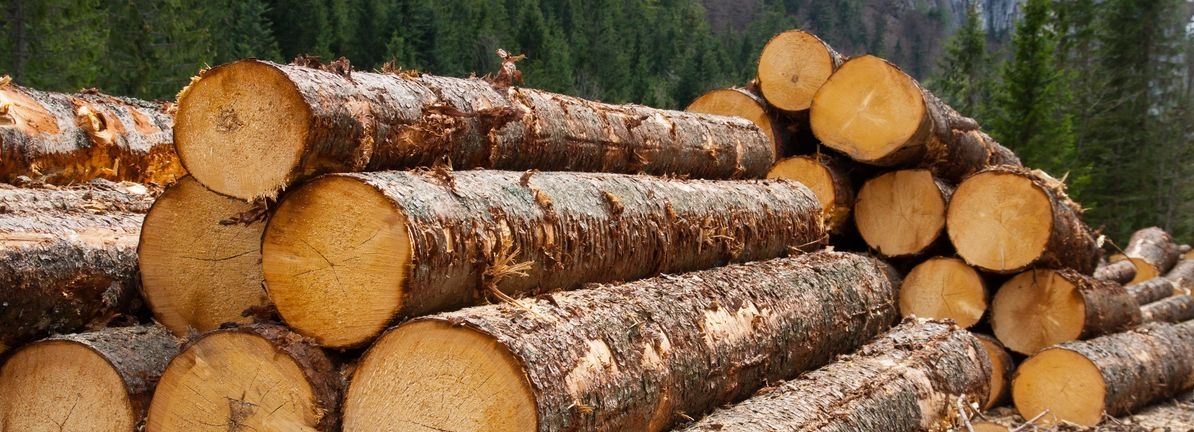 Stella-Jones Insiders Placed Bullish Bets Worth CA$1.07m