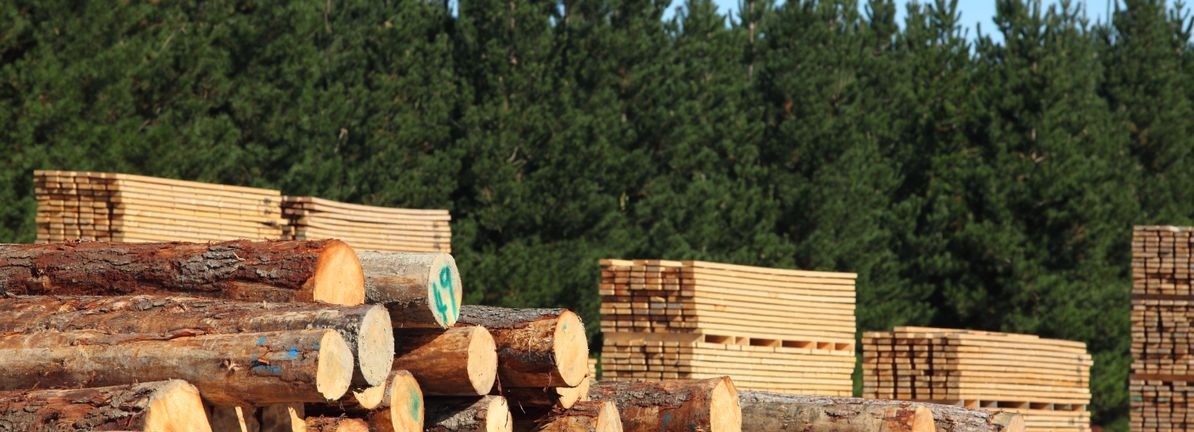 Investing in West Fraser Timber (TSE:WFG) five years ago would have delivered you a 328% gain