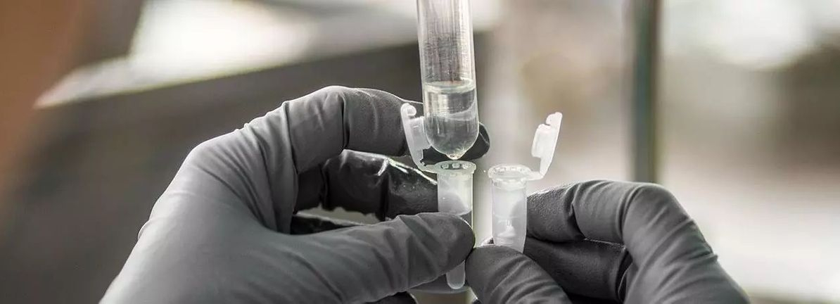 CSL (ASX:CSL) Secures NICE Approval For Sparsentan Use In NHS England