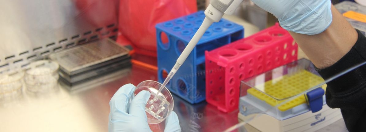 Gilead Sciences (NasdaqGS:GILD) Reveals Promising Phase 3 Trial Results For Trodelvy In mTNBC