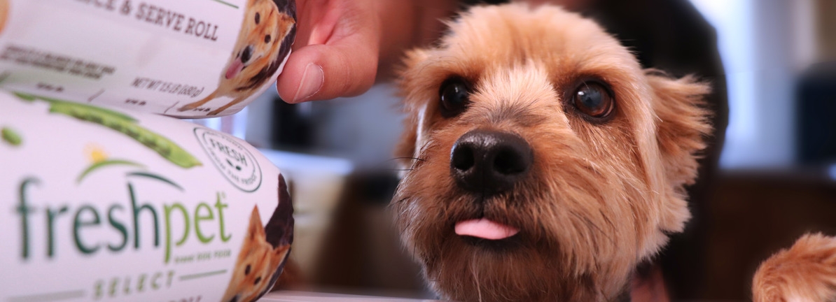 We Think Freshpet's (NASDAQ:FRPT) Profit Is Only A Baseline For What They Can Achieve