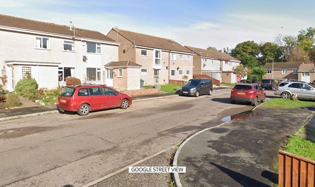 Two people arrested on suspicion of murder after man dies in garden