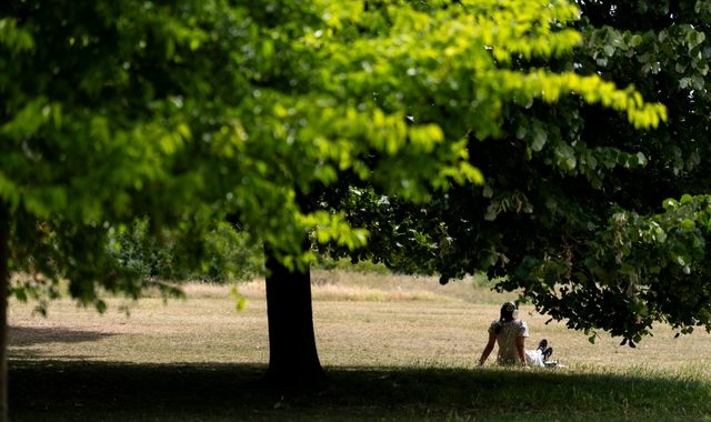 UK weather: Yellow heat health alerts issued for most of England