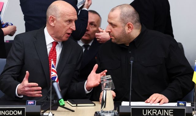 Defence secretary warns this is 'the critical year' for Ukraine - as £450m in funding allocated