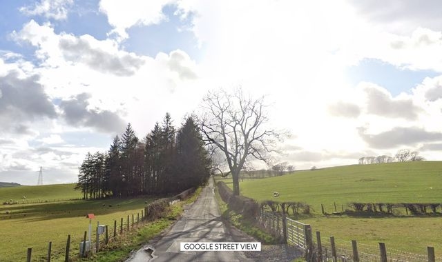 Man and dog die after van crash in Dumfries and Galloway