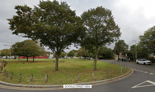 Chadwell Heath murder investigation: Police appeal after death of woman 'in her twenties'