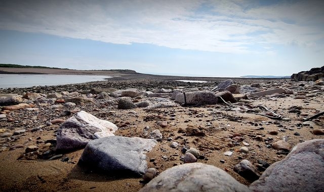 Sully Island: Foragers rescued from Welsh island after eating suspected poisonous plant