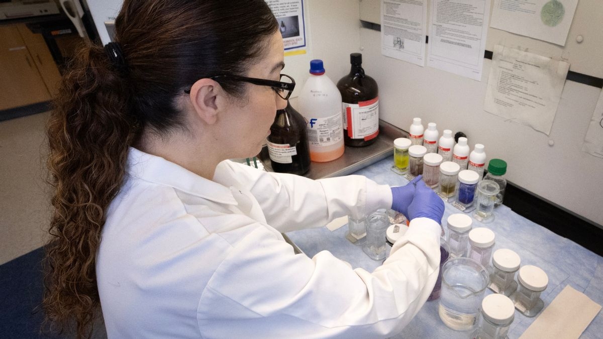 Trump didn't 'cancel cancer research,' but new NIH guidance cut funding for some medical studies