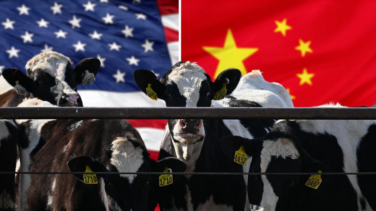 Fact Check: No, China didn't 'cancel' US beef amid tariffs tit-for-tat