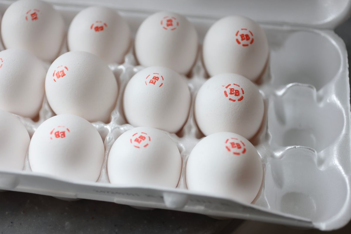 Fact Check: Look out for this message about fictional recall on chicken, eggs