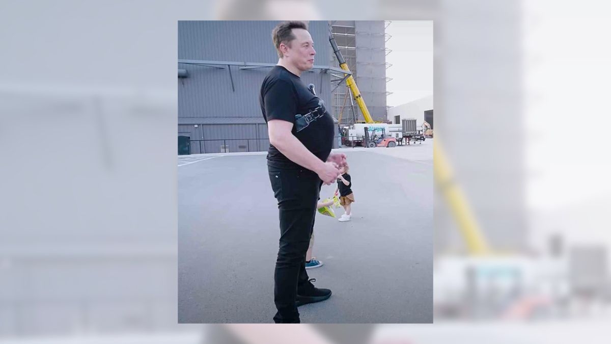 Fact Check: Musk photo slightly doctored to enlarge chest and gut size
