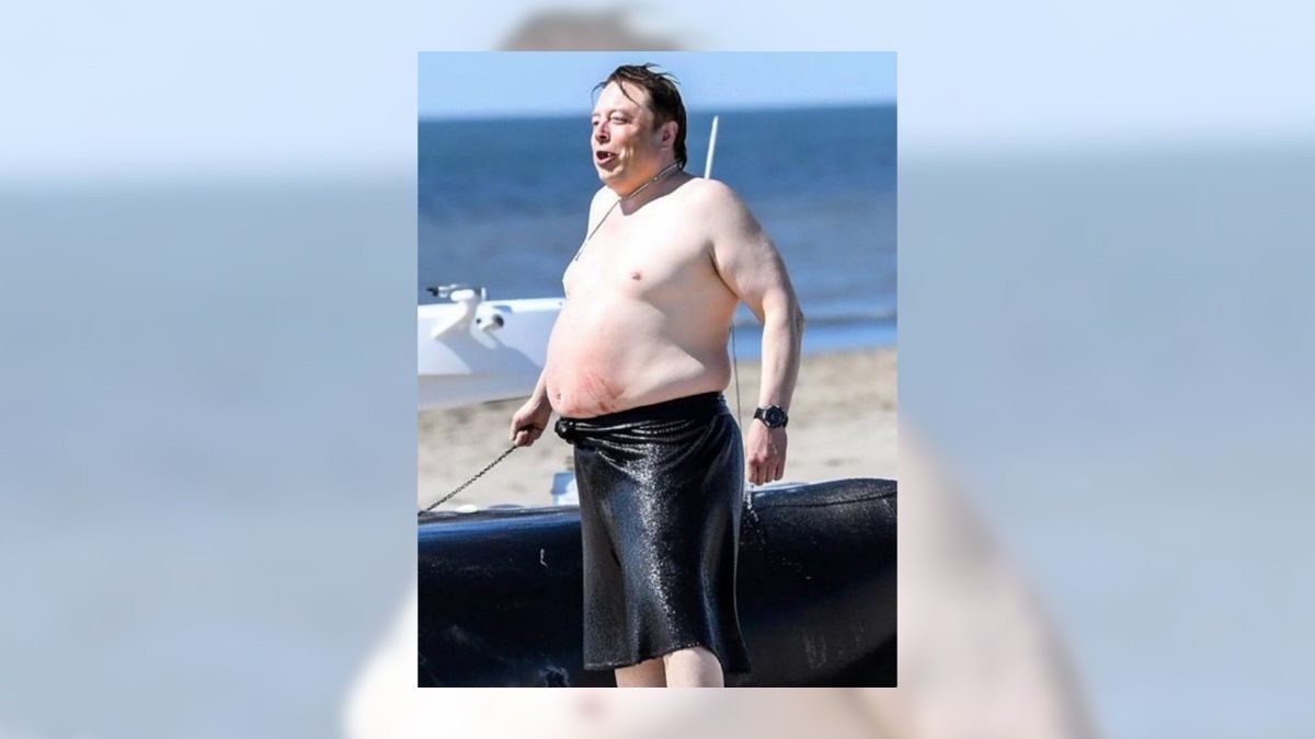 Fact Check: Don't fall for image of shirtless Musk with large gut holding leash at beach