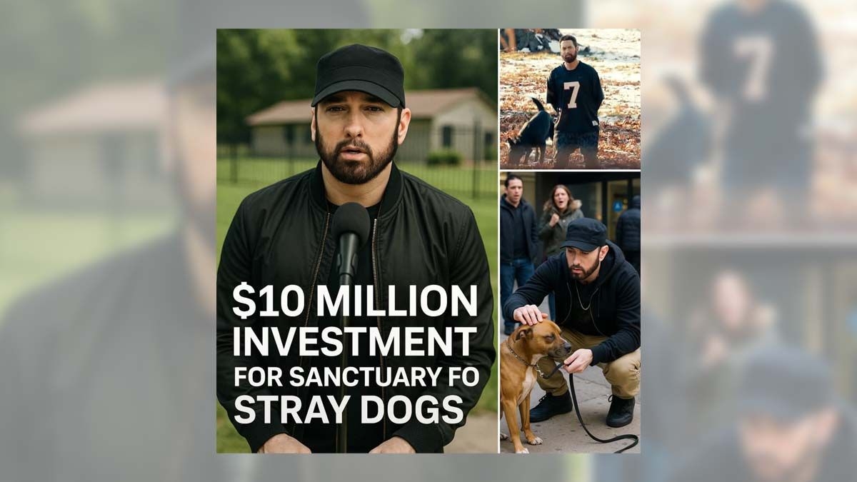 Fact Check: Eminem didn't announce $10M investment to build stray dog rescue 'paradise'