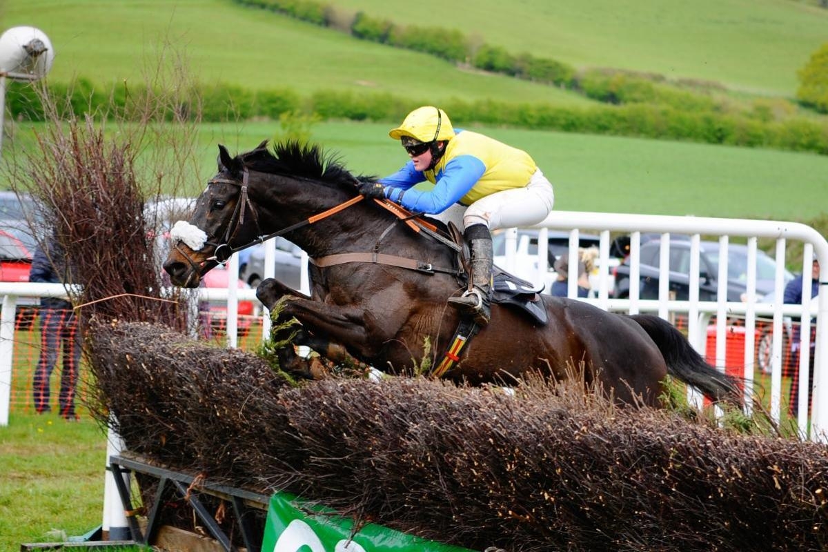 Who to watch at final Wessex Area point-to-point of the season this week