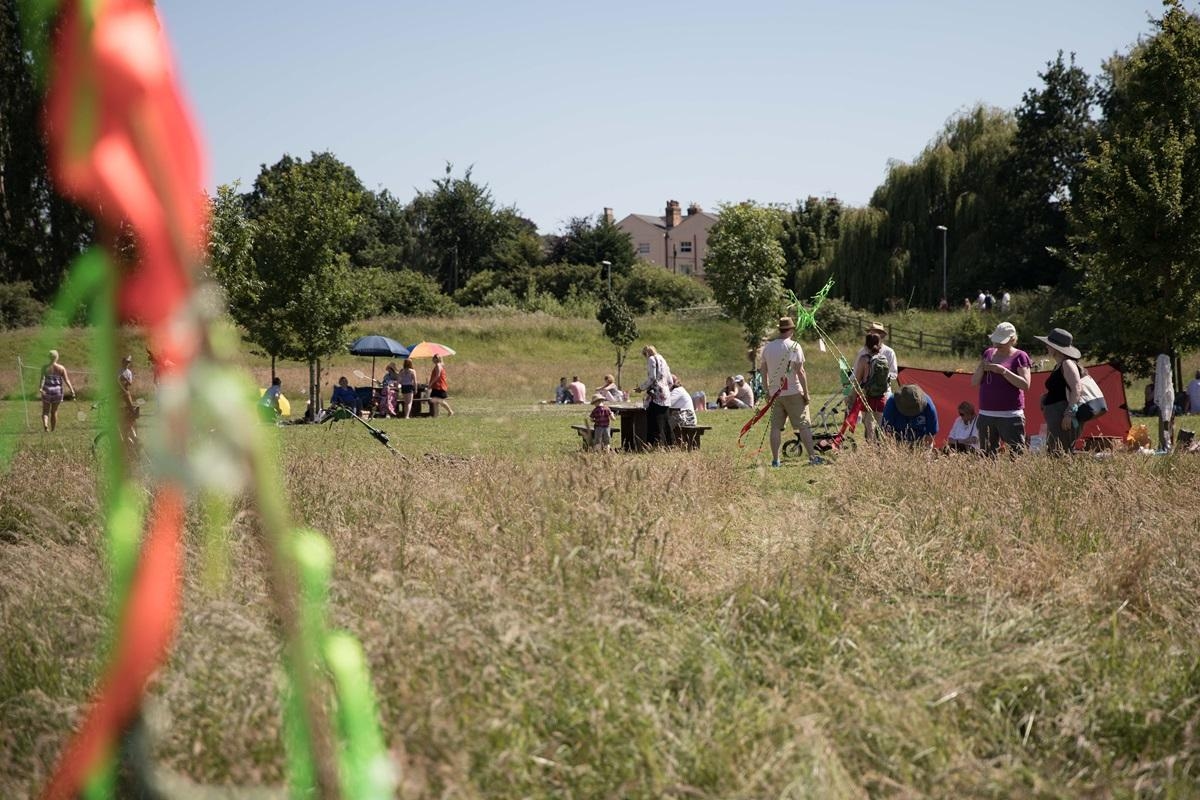 Guided walk to explore the biodiversity of Taunton's Longrun Meadow