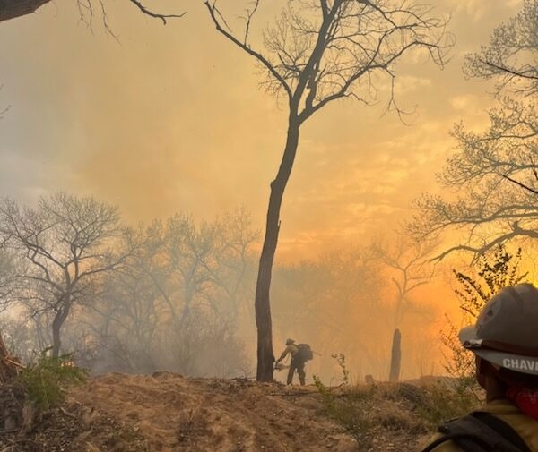 Wildfire near Bosque Farms 10% contained