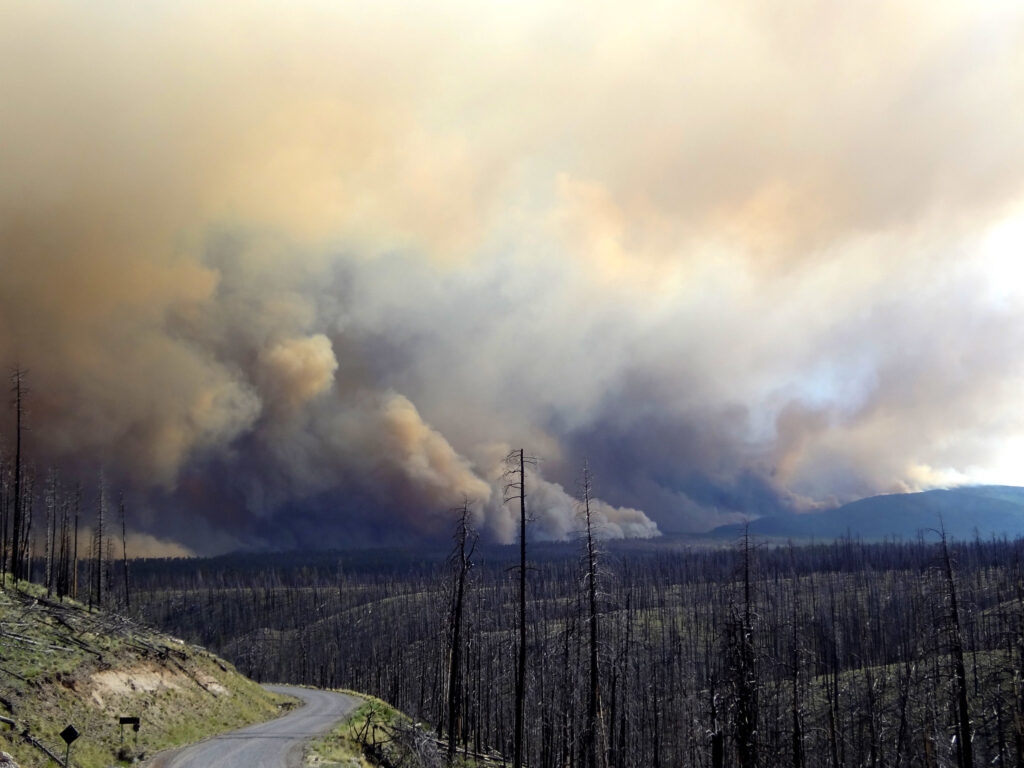 ‘It's bad': How drought, lack of snowpack and federal cuts could spell wildfire disaster in NM