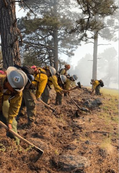Two small NM fires erupt Sunday, including one in Grants neighborhood that burned 14 structures