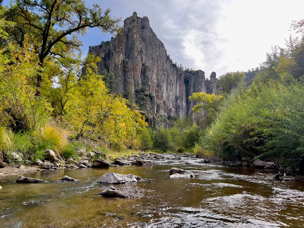 New Mexico groups cheer reintroduction of bill to protect Gila-area rivers and streams